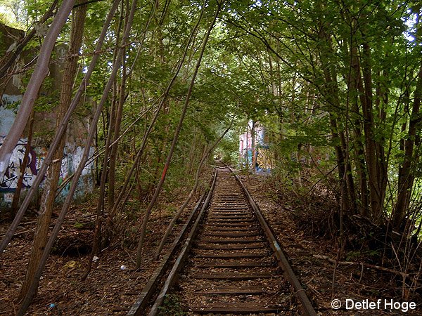 Bild: nahe Zehlendorf Süd