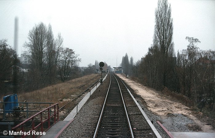 Bild: zwischen Waidmannslust und Wittenau (Nordbahn)