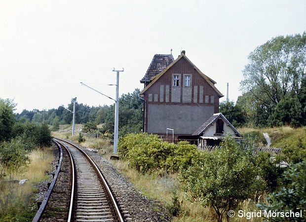 pic3