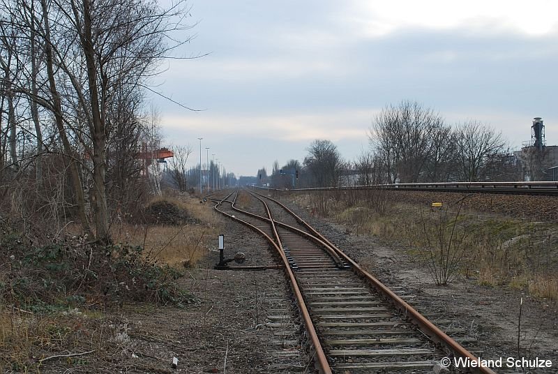 Bild: Wanderung 2009-03