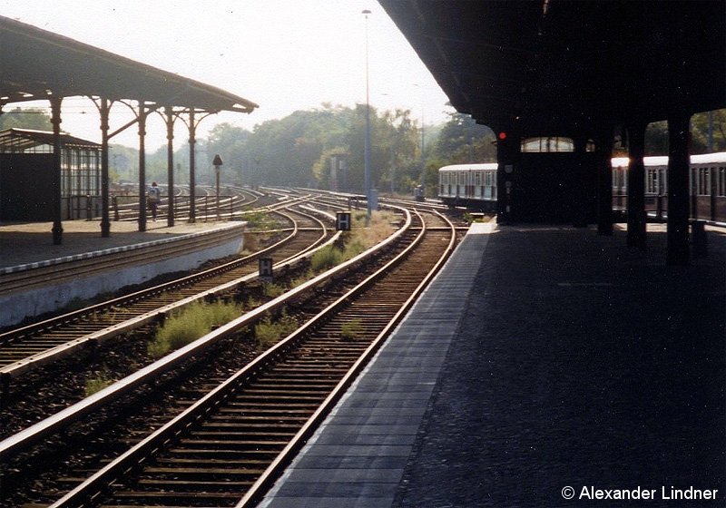 Bild: Grunewald 2