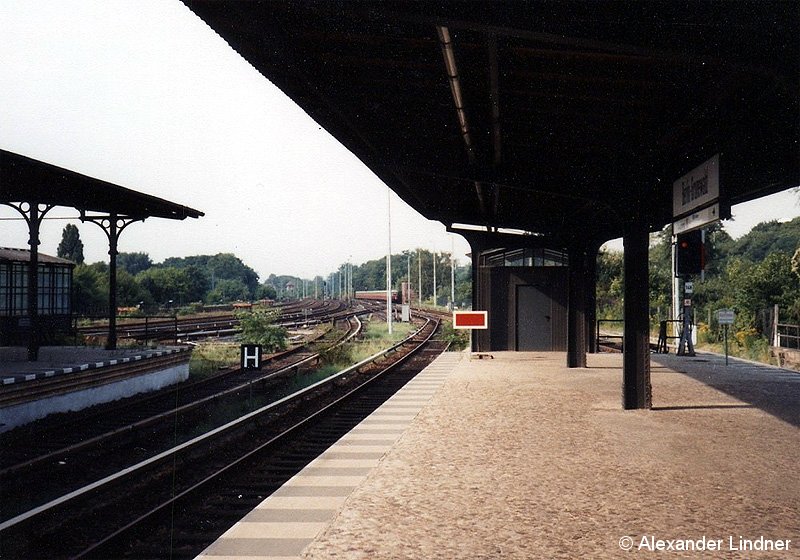 Bild: Grunewald 3