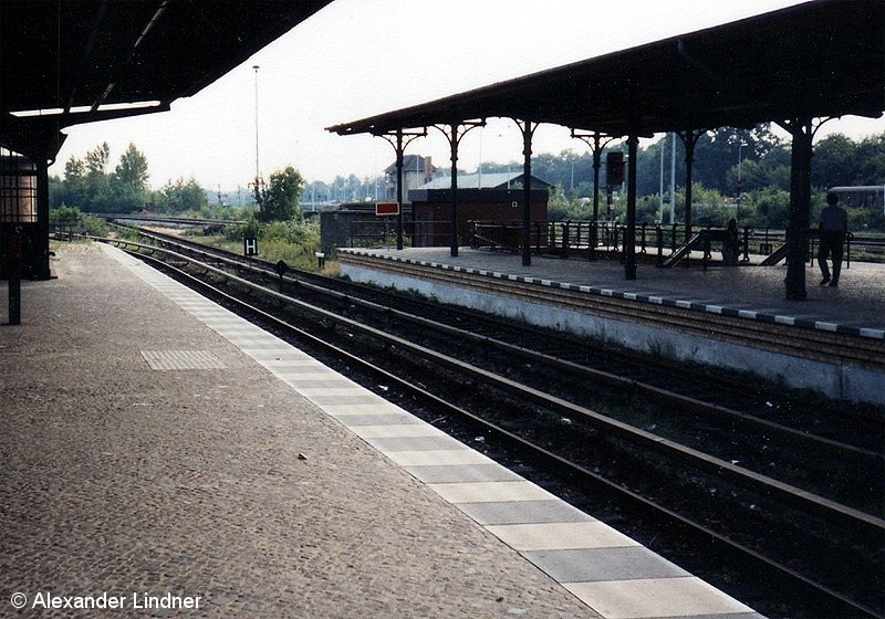 Bild: Grunewald 4